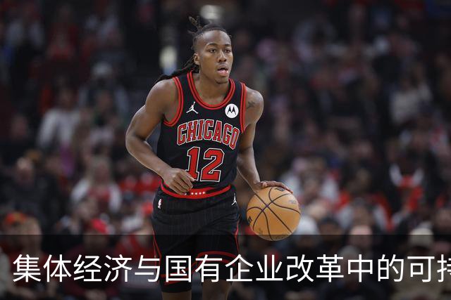 集体经济与国有企业改革中的可持续发展探析